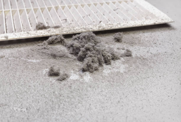 Best Ductwork Cleaning Services  in Newellton, LA