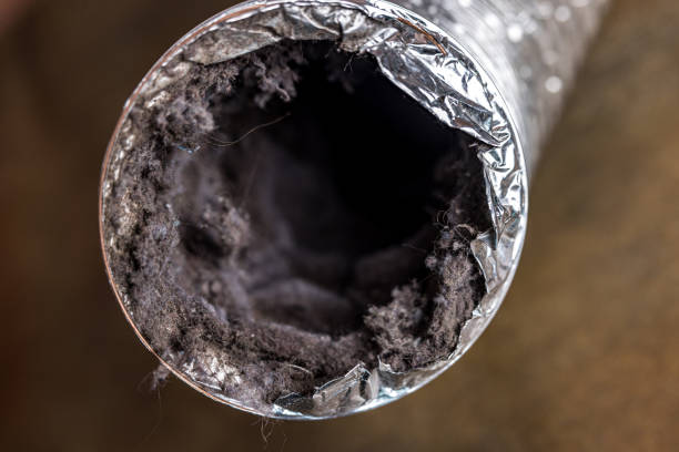 Best Ductwork Cleaning Services  in Newellton, LA