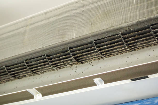Best Air Duct Cleaning Near Me  in Newellton, LA
