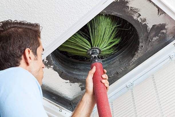 Best Air Duct Mold Removal  in Newellton, LA